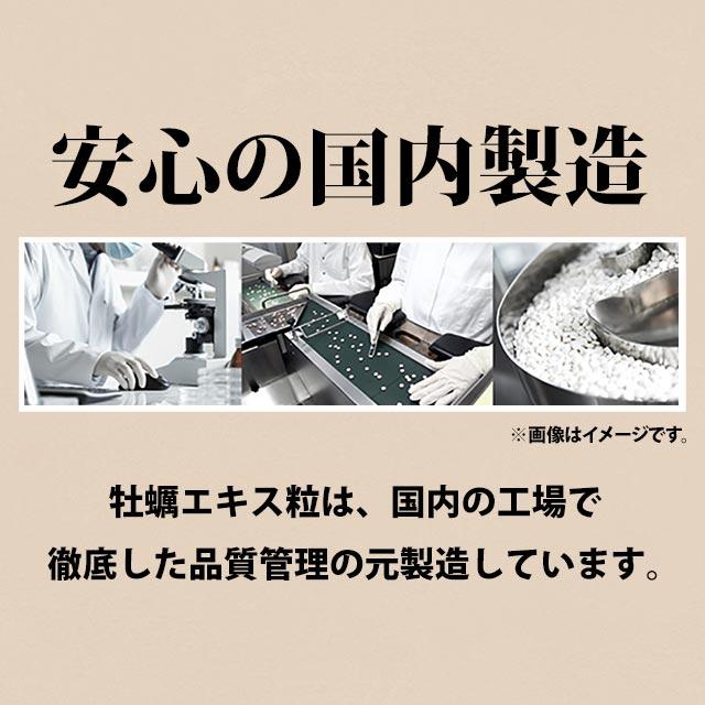 ogaland 牡蠣エキス粒 (約6ヶ月分) 牡蠣 サプリ 亜鉛 ogaland 牡蠣エキス粒 (約6ヶ月分) 牡蠣 サプリ 亜鉛