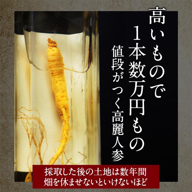 高麗人参カプセル (約6ヶ月分) 発酵 元気 サプリ サプリメント 紅参 ジンセノイド リノレン酸 ビタミンE クコの実 半年分 送料無料 冷え が 苦手な方に :hantosi-kn:オーガランド Yahoo!店 - 通販 - Yahoo!ショッピング 高麗人参カプセル (約6ヶ月分) 発酵 元気 サプリ サプリメント 紅参 ジンセノイド リノレン酸 ビタミンE クコの実 半年分 送料無料 冷え が 苦手な方に :hantosi-kn:オーガランド Yahoo!店 - 通販 - Yahoo!ショッピング
