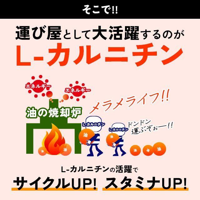 L-カルニチン （約6ヶ月分） サプリメント スポーツ トレーニング ダイエット アミノ酸 燃焼系 サプリ 運動 ブラックペッパー 生活習慣 健康 半年分 送料無料｜oga｜10