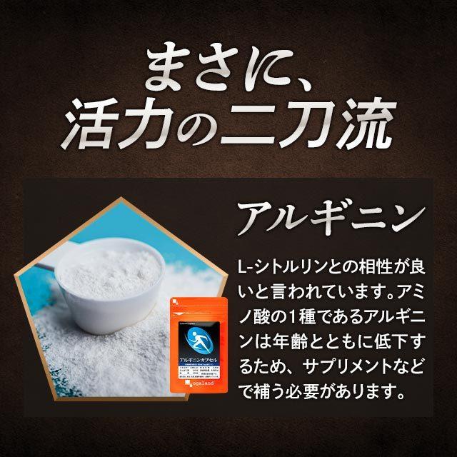 プロテオグリカン 4袋、Lシトルリン4袋　各12ヶ月分 ogaland（オーガランド） L-シトルリン （約6ヶ月分） シトルリン 男性