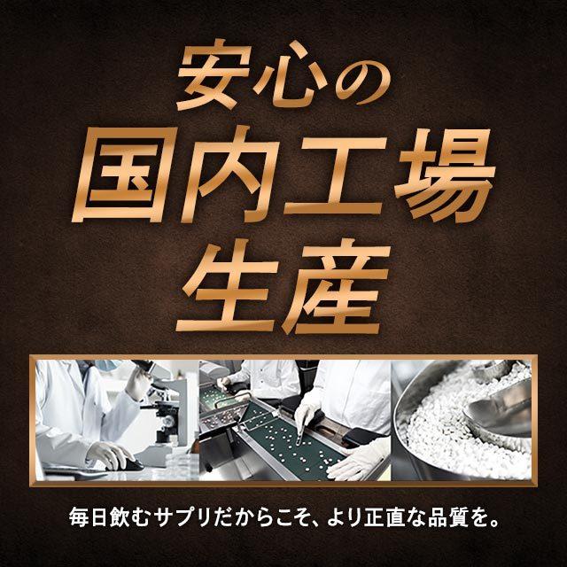 プロテオグリカン 4袋、Lシトルリン4袋　各12ヶ月分 ogaland（オーガランド） L-シトルリン （約6ヶ月分） シトルリン 男性