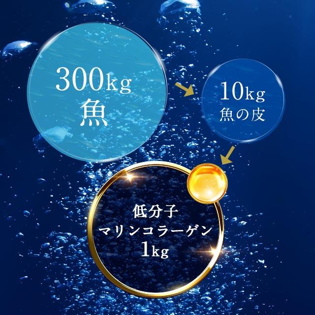 ogaland 低分子マリンコラーゲン & コンドロイチン (約6ヶ月分 ogaland 低分子マリンコラーゲン & コンドロイチン (約6ヶ月分
