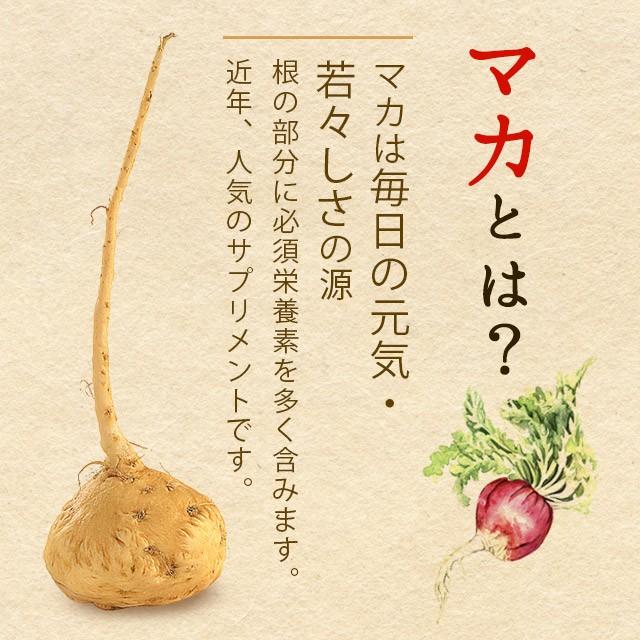 マカ粒 (約6ヶ月分) マカ サプリ サプリメント たんぱく質 アミノ酸 亜鉛 カルシウム 鉄 ミネラル ビタミン 美容 妊活 元気 自信 ロイシン 半年分 送料無料 :hantosi-maka:オーガランド Yahoo!店 - 通販 - Yahoo!ショッピング マカ粒 (約6ヶ月分) マカ サプリ サプリメント たんぱく質 アミノ酸 亜鉛 カルシウム 鉄 ミネラル ビタミン 美容 妊活 元気 自信 ロイシン 半年分 送料無料 :hantosi-maka:オーガランド Yahoo!店 - 通販 - Yahoo!ショッピング