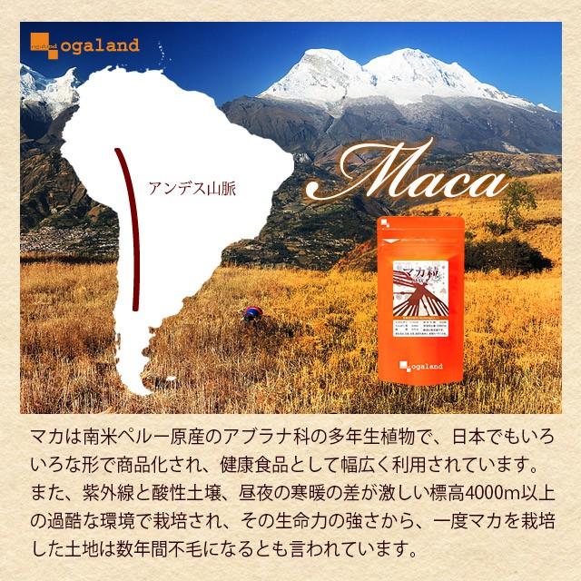 マカ粒 (約6ヶ月分) マカ サプリ サプリメント たんぱく質 アミノ酸 亜鉛 カルシウム 鉄 ミネラル ビタミン 美容 妊活 元気 自信 ロイシン 半年分 送料無料 :hantosi-maka:オーガランド Yahoo!店 - 通販 - Yahoo!ショッピング マカ粒 (約6ヶ月分) マカ サプリ サプリメント たんぱく質 アミノ酸 亜鉛 カルシウム 鉄 ミネラル ビタミン 美容 妊活 元気 自信 ロイシン 半年分 送料無料 :hantosi-maka:オーガランド Yahoo!店 - 通販 - Yahoo!ショッピング
