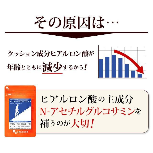 ogaland（オーガランド） N-アセチルグルコサミン （約6ヶ月分