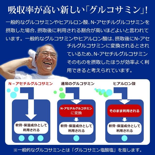 ogaland（オーガランド） N-アセチルグルコサミン （約6ヶ月分