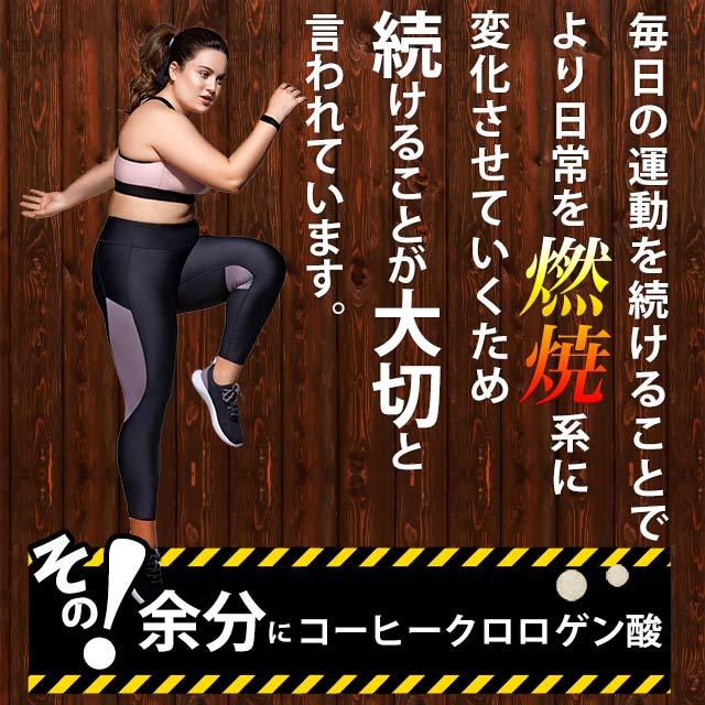 ogaland（オーガランド） 生コーヒークロロゲン酸 （約6ヶ月分