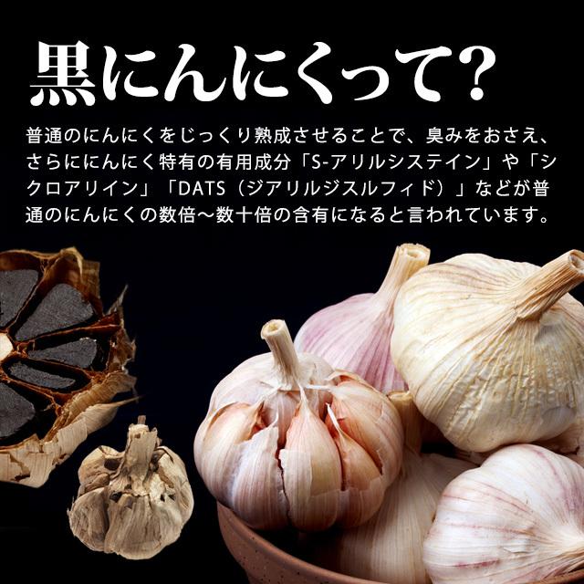ogaland 黒にんにく卵黄 (約6ヶ月分) サプリ サプリメント ogaland 黒にんにく卵黄 (約6ヶ月分) サプリ サプリメント