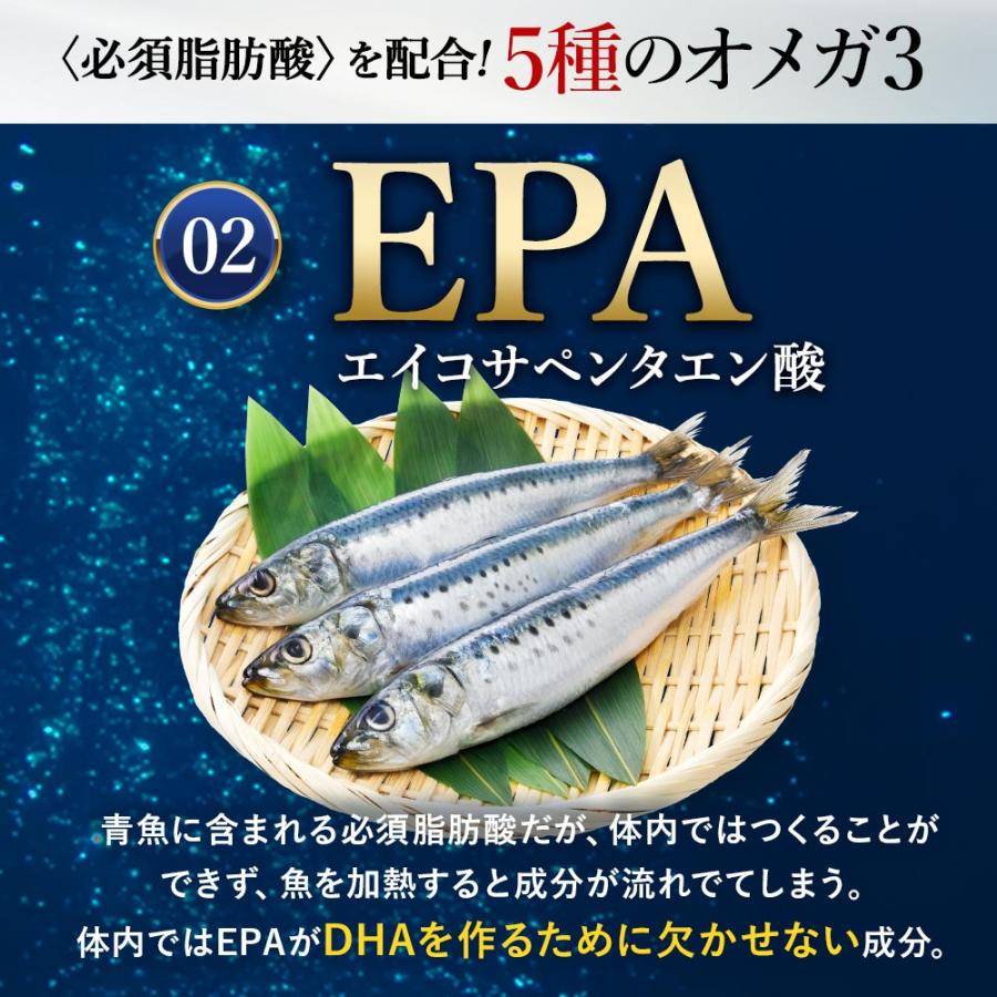 オメガ3 （約6ヶ月分） DHA EPA サプリメント オメガ3 必須脂肪酸 α-リノレン酸 サプリ アマニ油 魚 えごま油 健康 生活習慣 ポイント利用 | ogaland | 12