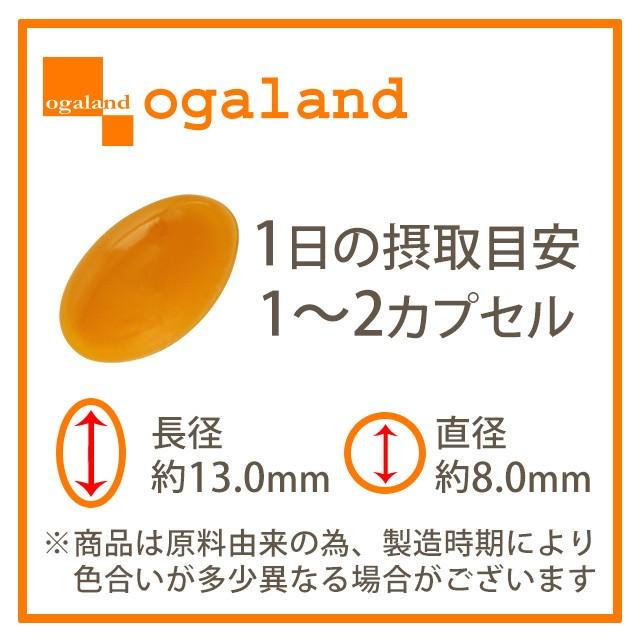 プラセンタ （約6ヶ月分） ビタミン アミノ酸 ミネラル 美容 コラーゲン サプリ アルガン サプリメント  50倍 濃縮 オレイン酸 ポイント利用 | ogaland | 19