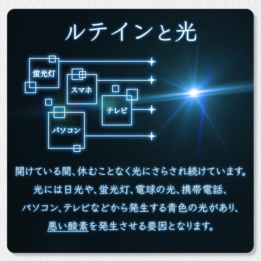 ルテイン サプリ（約6ヶ月分）サプリメント ゼアキサンチン 亜鉛 酵母 ビタミン メグスリノキ アスタキサンチン  マリーゴールド 美容 健康 ポイント利用 | ogaland | 12