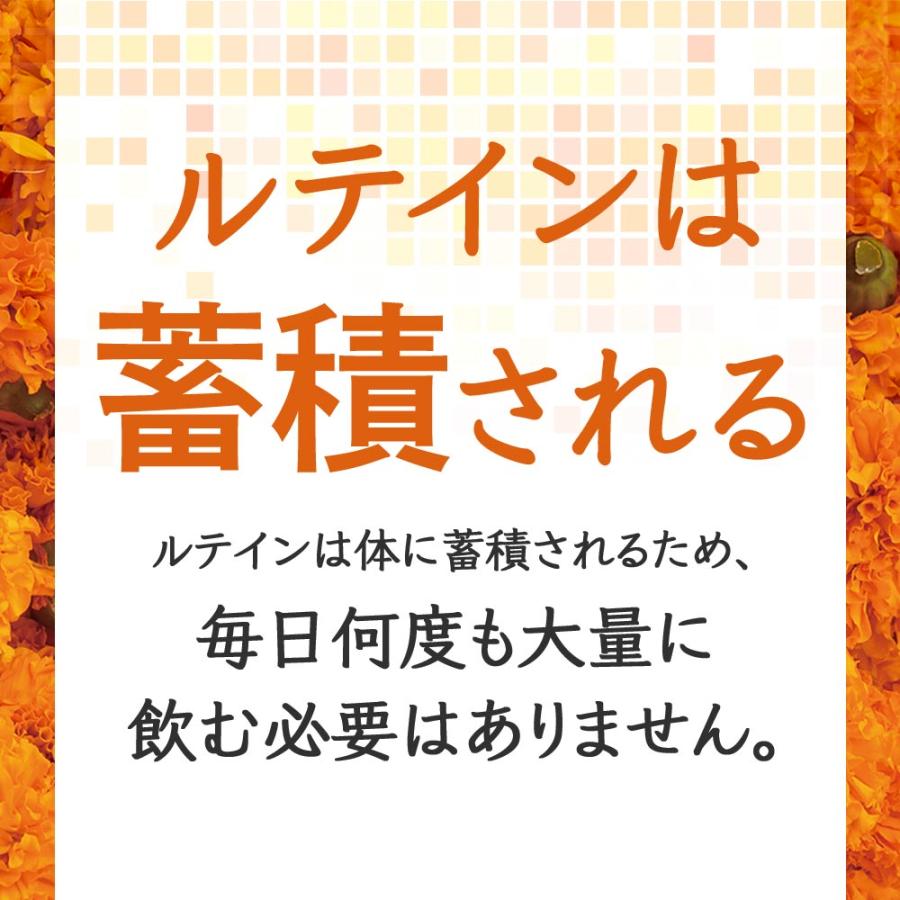 ルテイン サプリ（約6ヶ月分）サプリメント ゼアキサンチン 亜鉛 酵母 ビタミン メグスリノキ アスタキサンチン  マリーゴールド 美容 健康 ポイント利用 | ogaland | 16