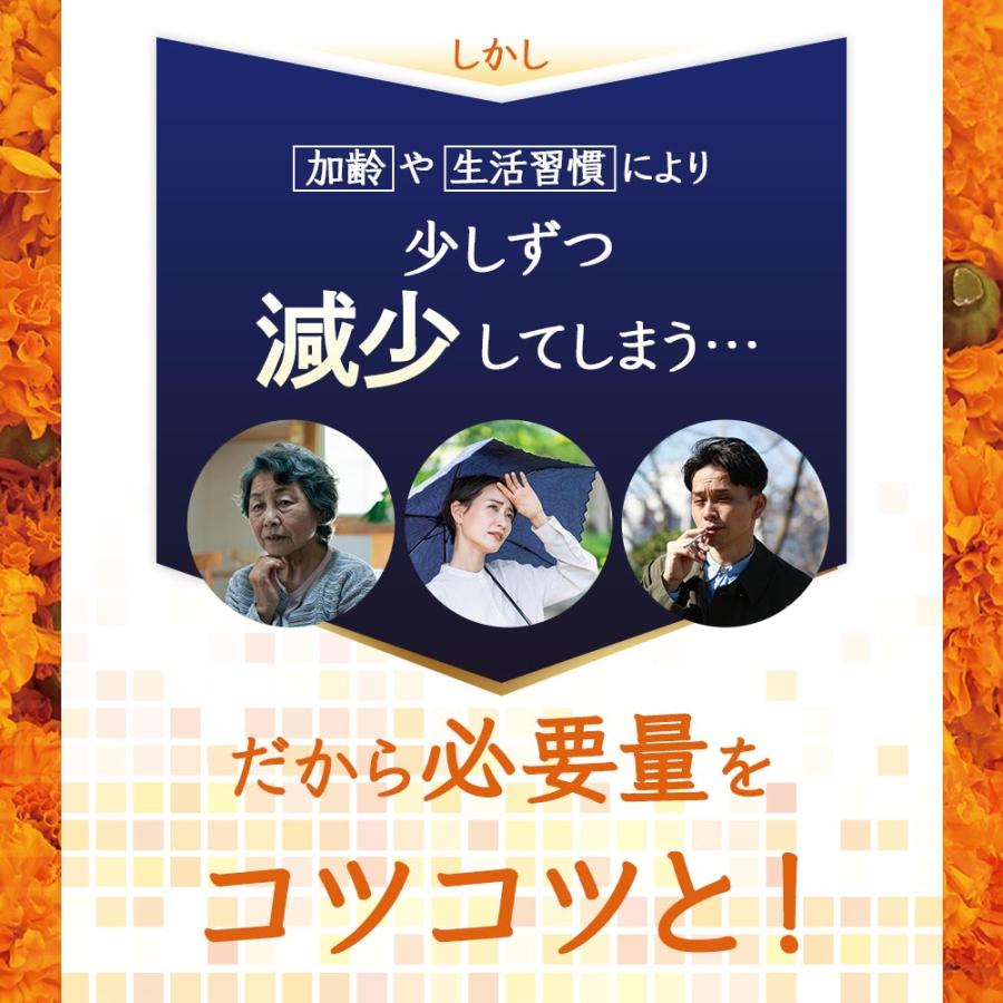 ルテイン サプリ（約6ヶ月分）サプリメント ゼアキサンチン 亜鉛 酵母 ビタミン メグスリノキ アスタキサンチン  マリーゴールド 美容 健康 ポイント利用 | ogaland | 17