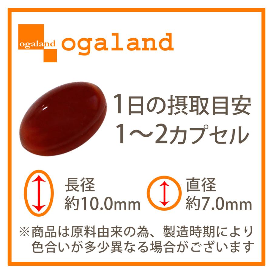 ルテイン サプリ（約6ヶ月分）サプリメント ゼアキサンチン 亜鉛 酵母 ビタミン メグスリノキ アスタキサンチン  マリーゴールド 美容 健康 ポイント利用 | ogaland | 20