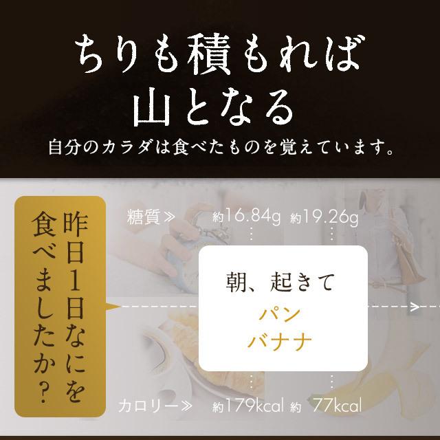 ogaland（オーガランド） サラシアエキス （約6ヶ月分）サラシア