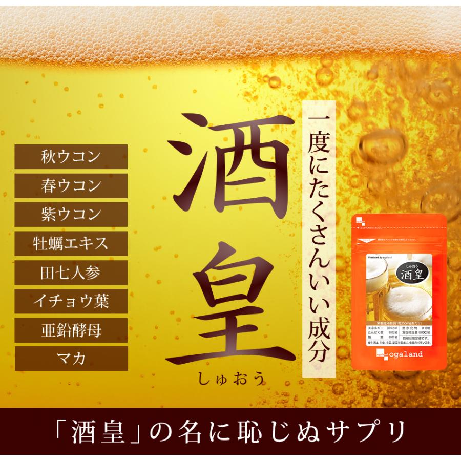 酒皇 (約6ヶ月分) 田七人参 しゅおう クルクミン サプリ うこん サプリメント 牡蠣 亜鉛 マカ イチョウ葉 配合 アズレン カンファ― ミネラル ポリフェノール ウコン 酒皇-しゅおう-(約6ヶ月分)送料無料 お酒を飲む方に サプリメント サプリ うこん ウコン 健康 大容量 お酒 酒 アルコール 晩酌 _JH