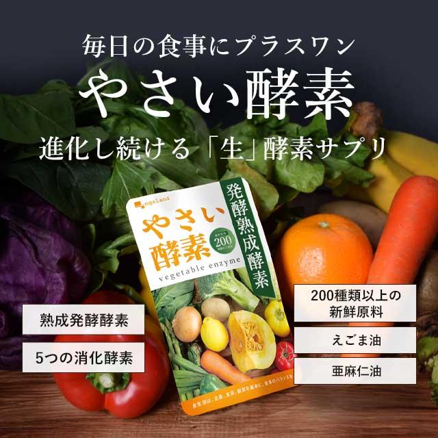 やさい酵素 （約6ヶ月分） 賞味期限2025年3月末まで 難消化性デキストリン 荏胡麻油 亜麻仁油 サプリメント ダイエット サプリ 酵素 野菜 不足 野草 醗酵 酵母｜oga｜04