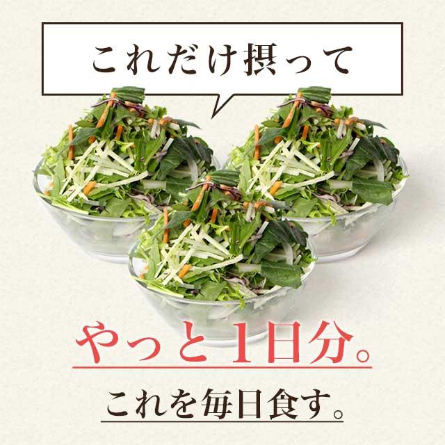 やさい酵素 （約6ヶ月分） 賞味期限2025年3月末まで 難消化性デキストリン 荏胡麻油 亜麻仁油 サプリメント ダイエット サプリ 酵素 野菜 不足 野草 醗酵 酵母｜oga｜07