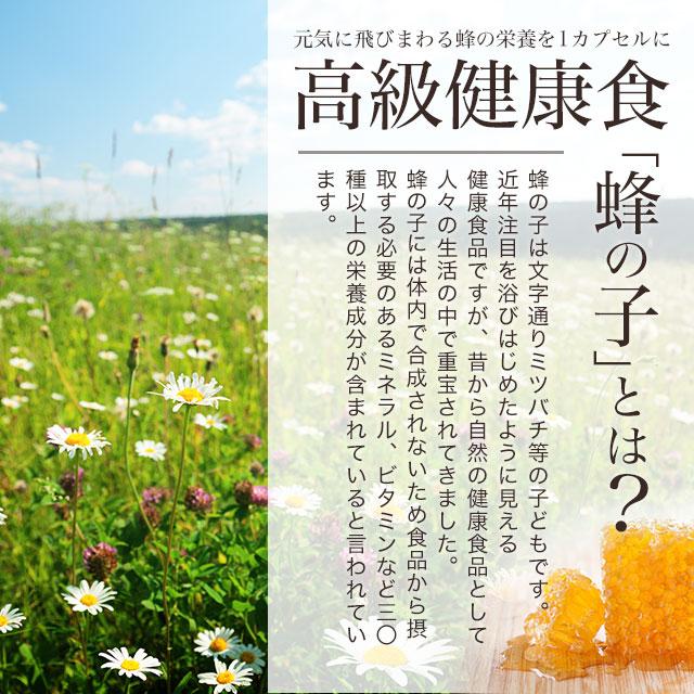 蜂の子 （約1ヶ月分） サプリ ローヤル ロイヤル サプリメント 酵素 処理 国産 明日葉 イチョウ葉 ギャバ ロイシン ポイント利用 | ogaland | 05