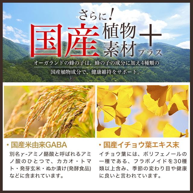 蜂の子 （約1ヶ月分） サプリ ローヤル ロイヤル サプリメント 酵素 処理 国産 明日葉 イチョウ葉 ギャバ ロイシン ポイント利用 | ogaland | 10