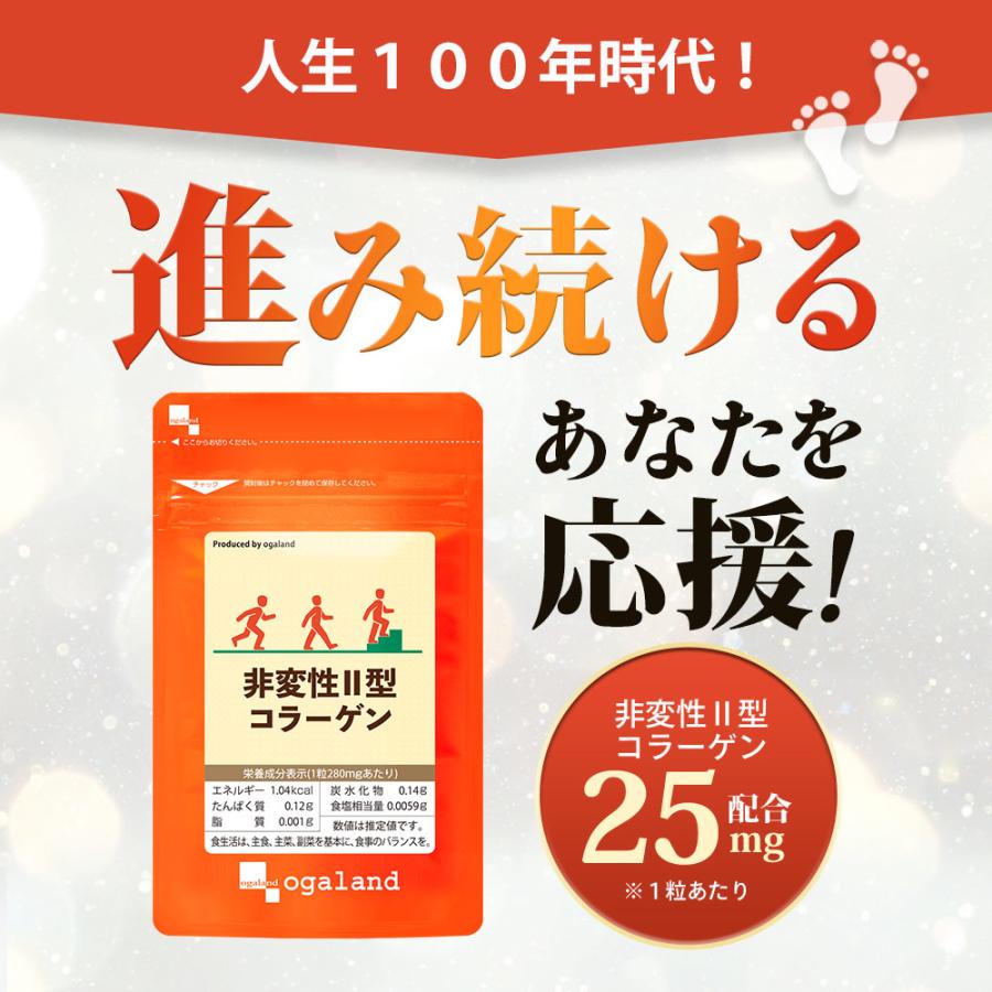 ogaland 非変性II型コラーゲン(約1ヶ月分)新商品 コラーゲン ogaland 非変性II型コラーゲン(約1ヶ月分)新商品 コラーゲン