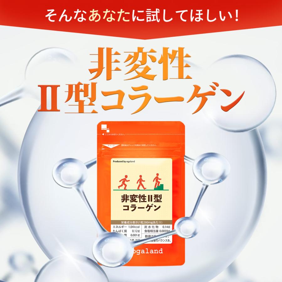 ogaland 非変性II型コラーゲン(約1ヶ月分)新商品 コラーゲン ogaland 非変性II型コラーゲン(約1ヶ月分)新商品 コラーゲン