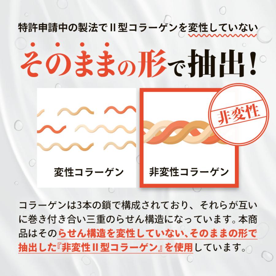 ogaland（オーガランド） 非変性II型コラーゲン（約1ヶ月分）新商品