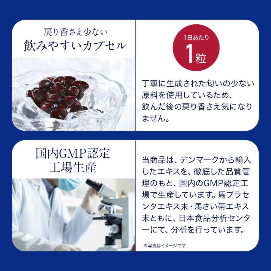 HAKUBA (約3ヶ月分) 馬プラセンタ サプリ サプリメント HAKUBA (約3ヶ月分) 馬プラセンタ サプリ サプリメント