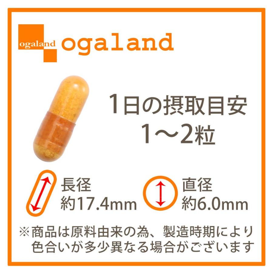 馬プラセンタ6000（約3ヶ月分） サプリ 馬プラセンタ 高純度 コラーゲン ヒアルロン酸 ビタミン アミノ酸 ポイント利用 ポイント消化 | ogaland | 18