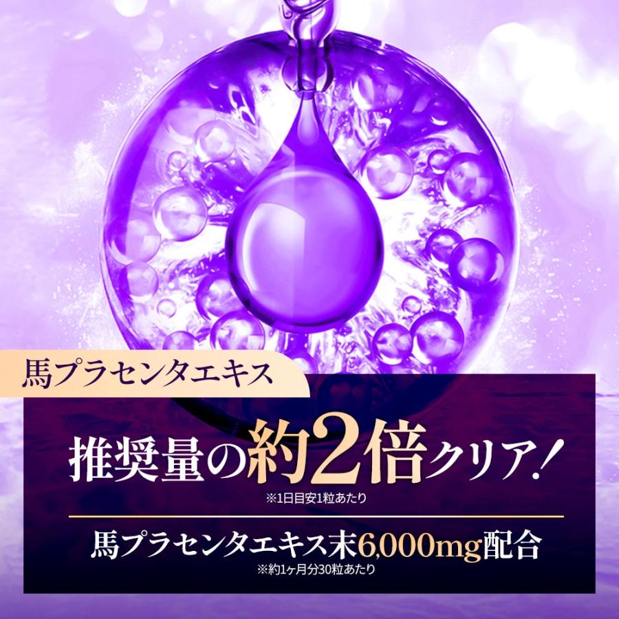 馬プラセンタ6000（約3ヶ月分） サプリ 馬プラセンタ 高純度 コラーゲン ヒアルロン酸 ビタミン アミノ酸 ポイント利用 ポイント消化 | ogaland | 02