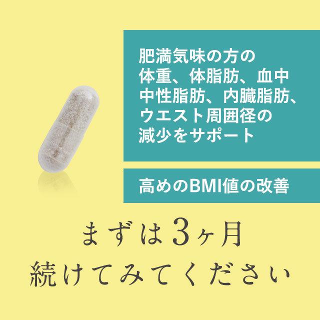 ヘルスイッチ (約3ヶ月分) サプリ ダイエット 機能性表示食品 サプリメント 肥満 気味の方の 内臓脂肪 体脂肪 体重 ウエスト の減少サポート 高め の BMI 改善 :hl3:オーガランド !店 通販 内臓脂肪が気になる方に