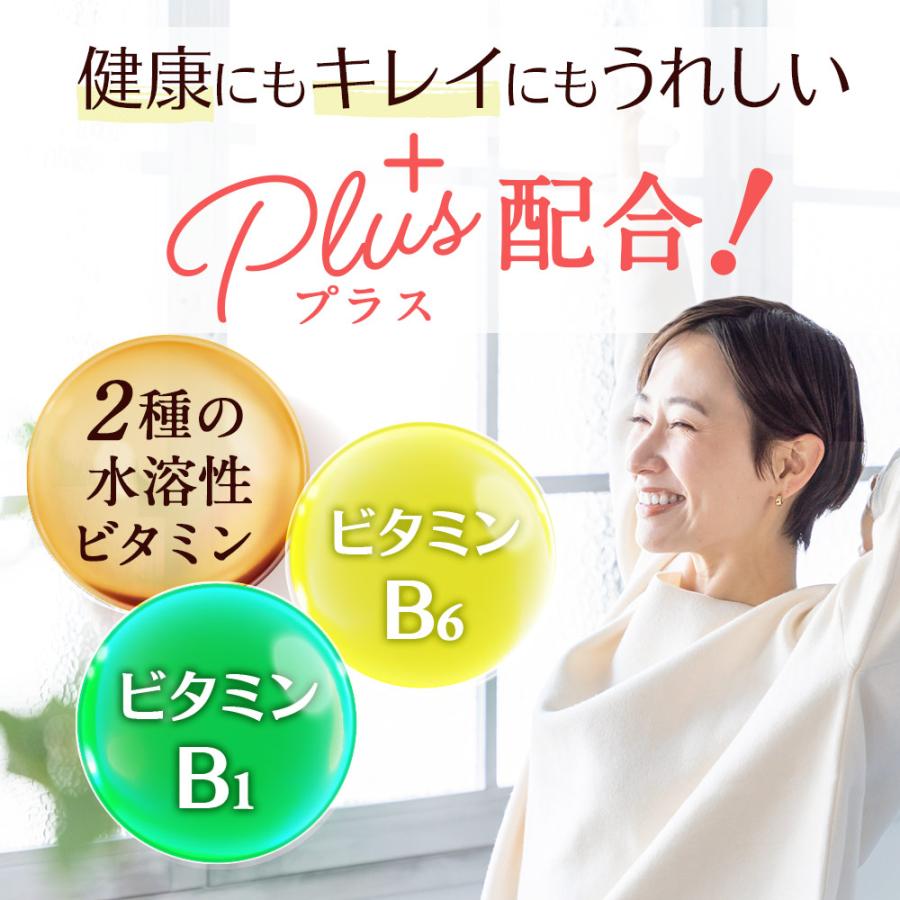 ホスファチジルコリンα （約1ヶ月分） サプリメント サプリ ダイエット 美容 大豆 レシチン あまに油 リ亜麻仁油 リノール酸 送料無料 健康 ポイント利用 | ogaland | 11