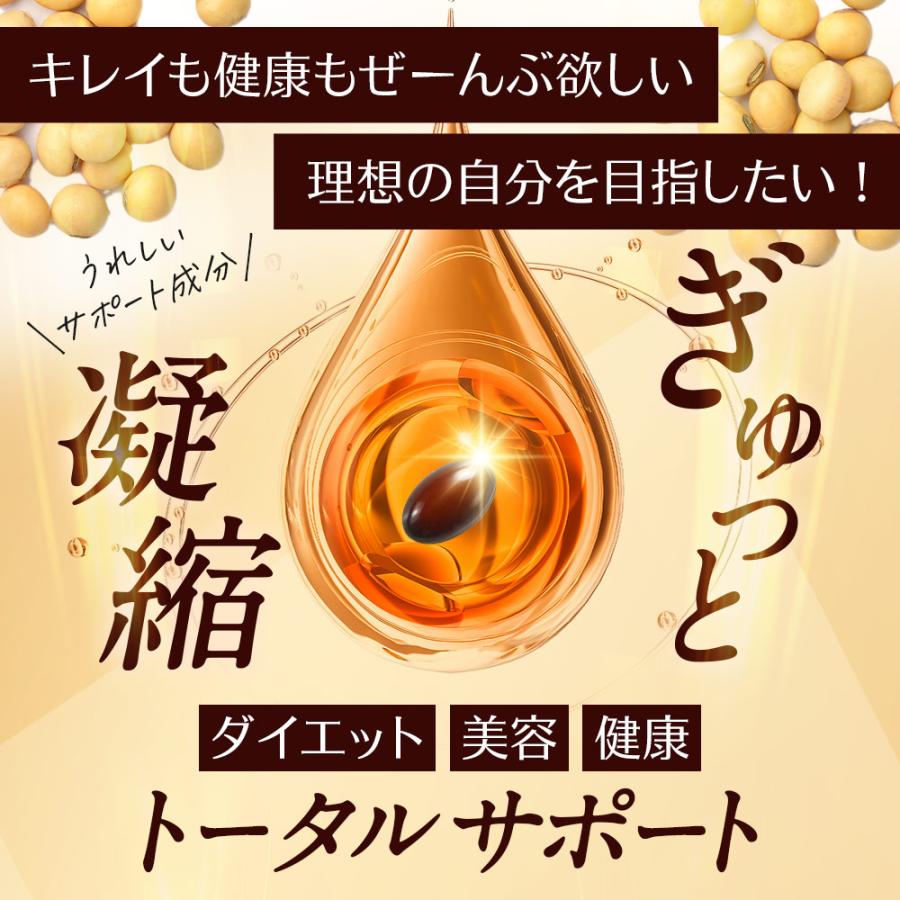 ホスファチジルコリンα （約1ヶ月分） サプリメント サプリ ダイエット 美容 大豆 レシチン あまに油 リ亜麻仁油 リノール酸 送料無料 健康 ポイント利用 | ogaland | 12