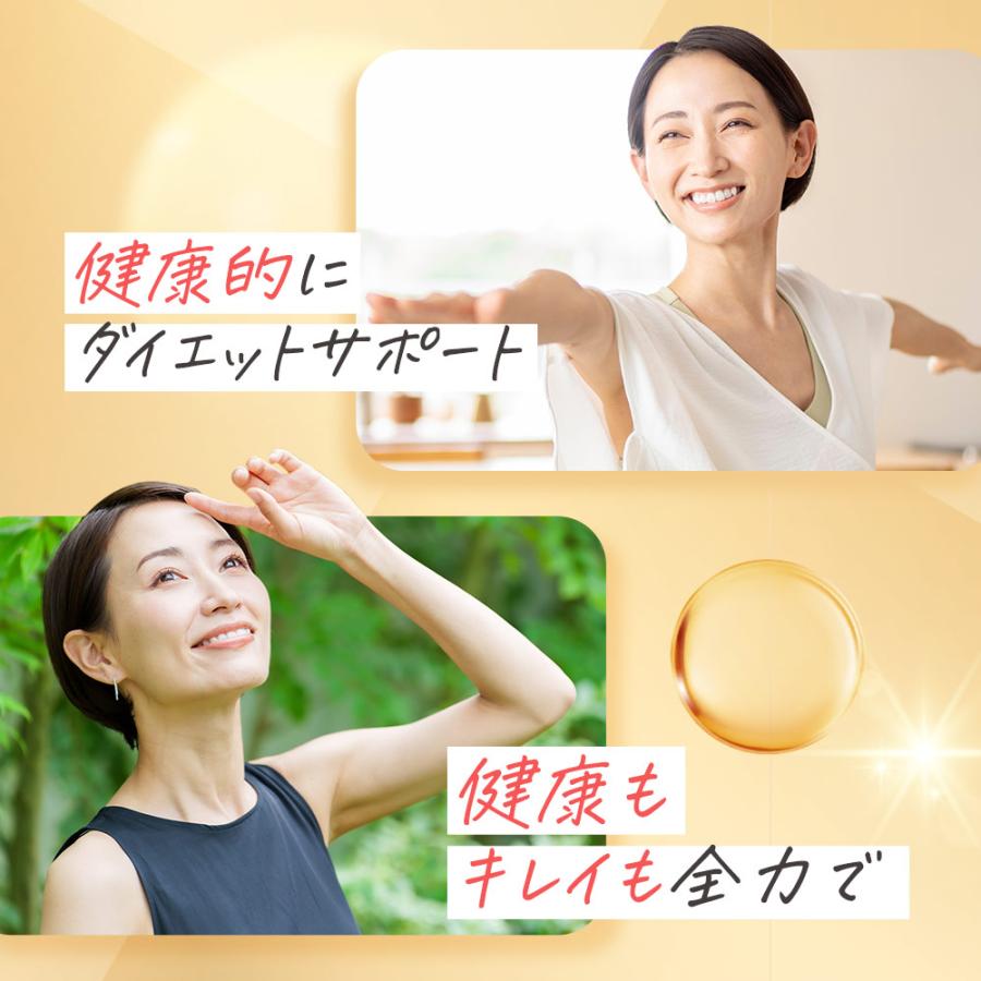 ホスファチジルコリンα （約1ヶ月分） サプリメント サプリ ダイエット 美容 大豆 レシチン あまに油 リ亜麻仁油 リノール酸 送料無料 健康 ポイント利用 | ogaland | 13