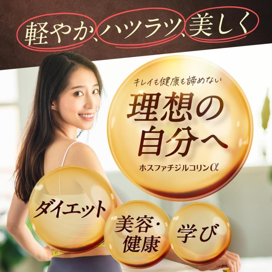 ホスファチジルコリンα （約1ヶ月分） サプリメント サプリ ダイエット 美容 大豆 レシチン あまに油 リ亜麻仁油 リノール酸 送料無料 健康 ポイント利用 | ogaland | 16