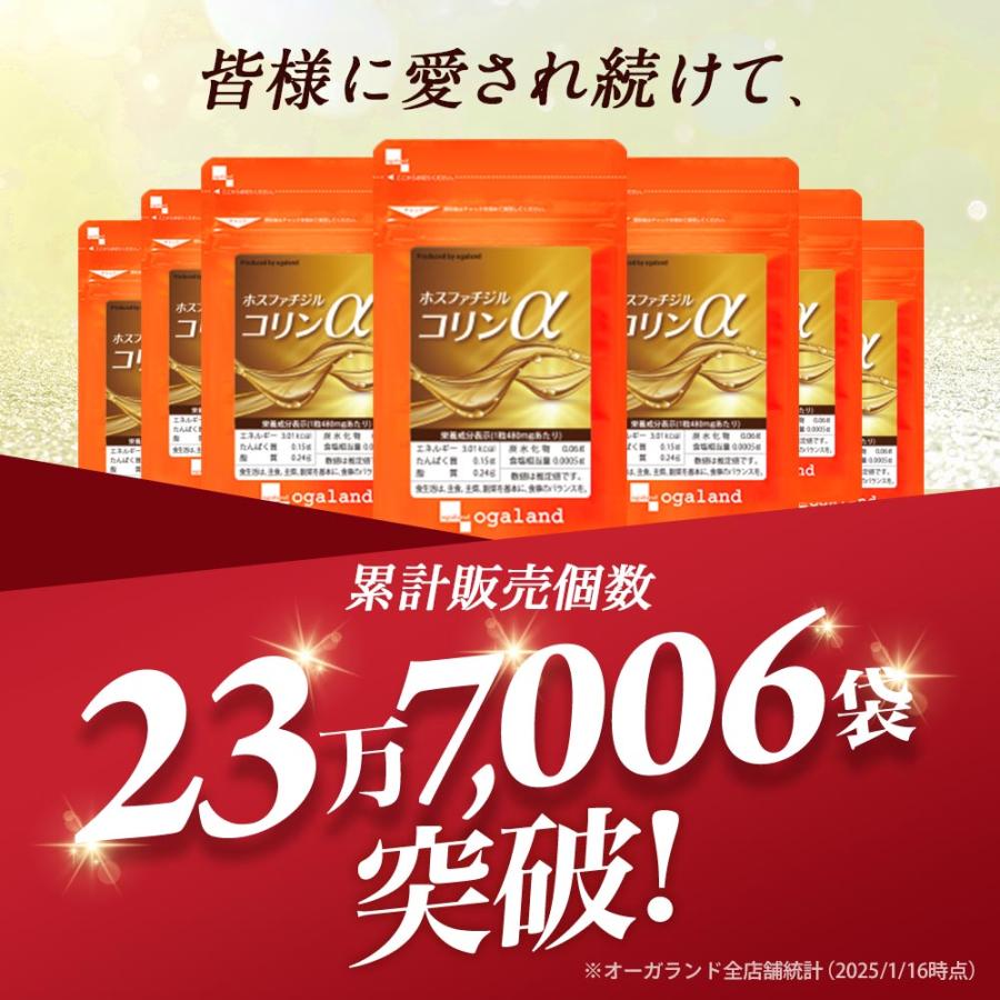 ホスファチジルコリンα （約1ヶ月分） サプリメント サプリ ダイエット 美容 大豆 レシチン あまに油 リ亜麻仁油 リノール酸 送料無料 健康 ポイント利用 | ogaland | 01
