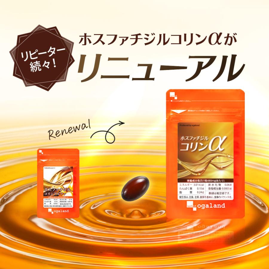 ホスファチジルコリンα （約1ヶ月分） サプリメント サプリ ダイエット 美容 大豆 レシチン あまに油 リ亜麻仁油 リノール酸 送料無料 健康 ポイント利用 | ogaland | 02