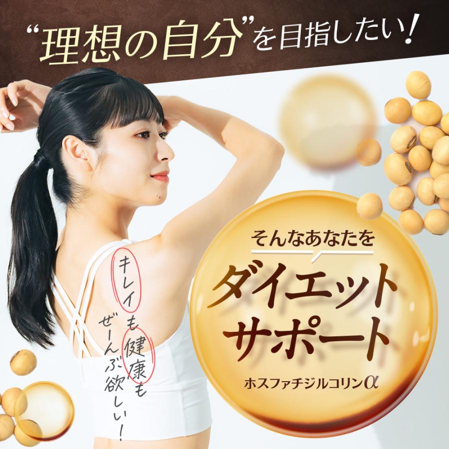 ホスファチジルコリンα （約1ヶ月分） サプリメント サプリ ダイエット 美容 大豆 レシチン あまに油 リ亜麻仁油 リノール酸 送料無料 健康 ポイント利用 | ogaland | 04