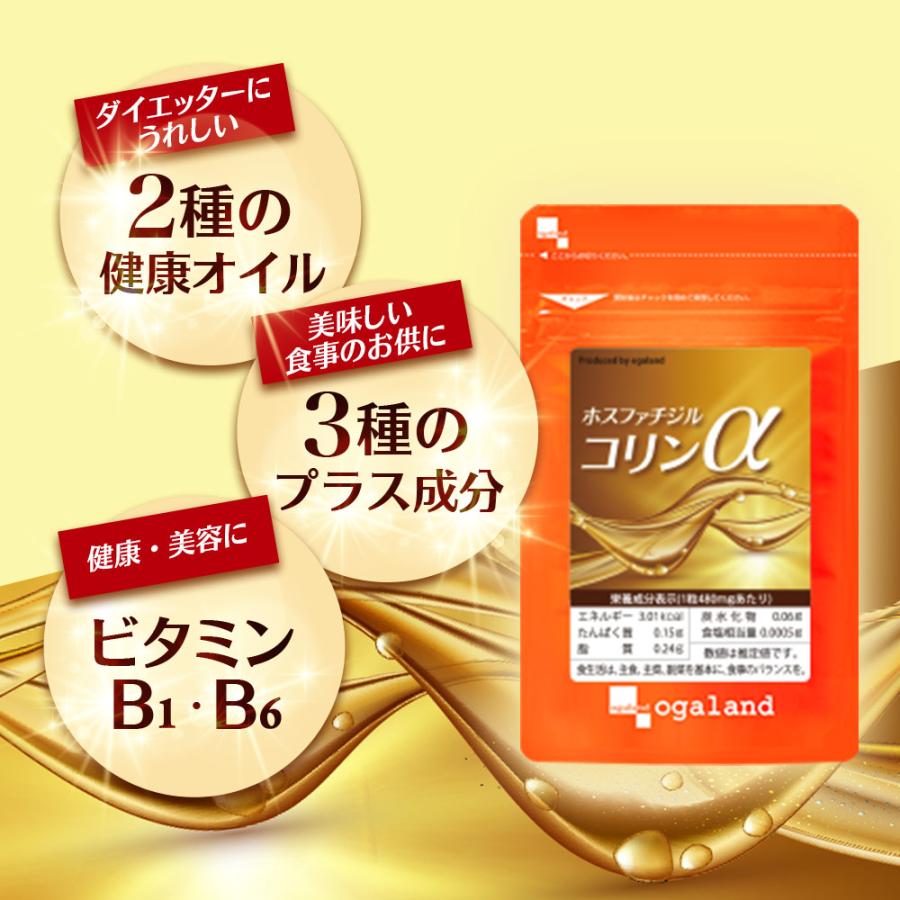 ホスファチジルコリンα （約1ヶ月分） サプリメント サプリ ダイエット 美容 大豆 レシチン あまに油 リ亜麻仁油 リノール酸 送料無料 健康 ポイント利用 | ogaland | 05