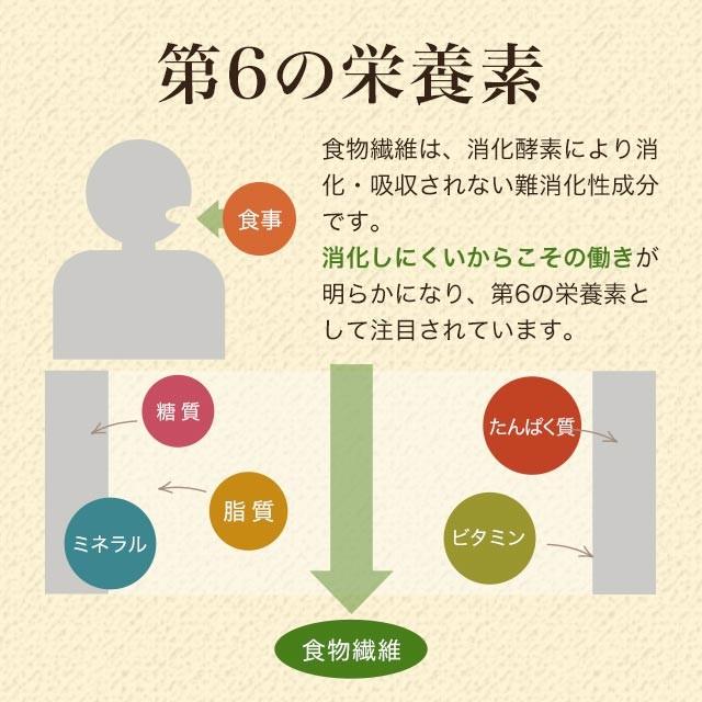 イヌリン （500g） ダイエット 食物繊維 粉末 パウダー サプリメント サプリ 健康 美容 水溶性 スッキリ 90％以上 高含有率 さとうきび 送料無料 難消化性｜oga｜07