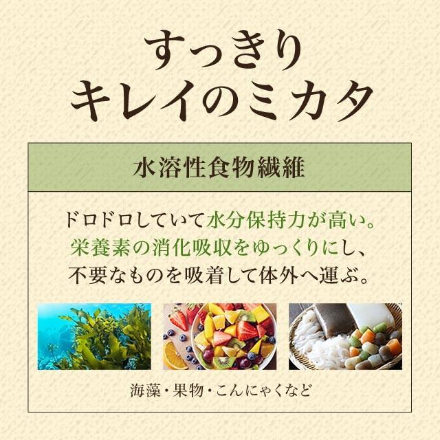 イヌリン （500g） ダイエット 食物繊維 粉末 パウダー サプリメント サプリ 健康 美容 水溶性 スッキリ 90％以上 高含有率 さとうきび 送料無料 難消化性｜oga｜08