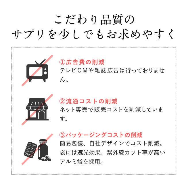 インナーUV （約3ヶ月分） サプリ サプリメント 紫外線 刺激から肌を保護するのを助ける 機能性表示食品 β-カロテン アウトドア スポーツ 美容 ポイント利用 | ogaland | 12