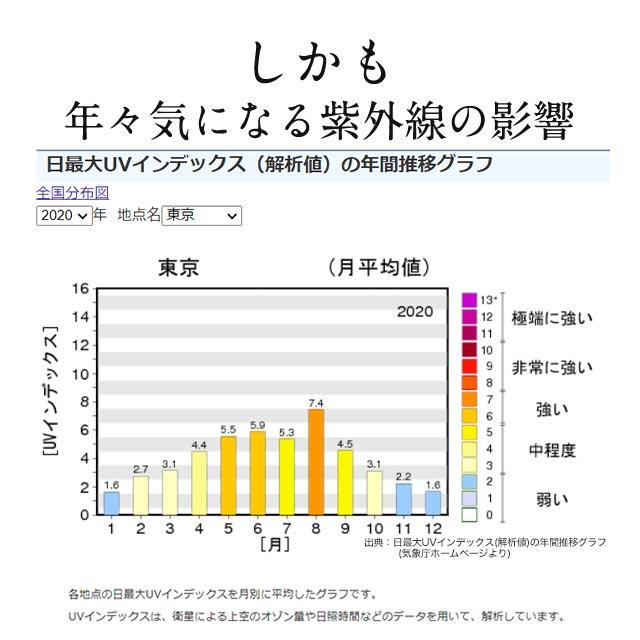 インナーUV （約3ヶ月分） サプリ サプリメント 紫外線 刺激から肌を保護するのを助ける 機能性表示食品 β-カロテン アウトドア スポーツ 美容 ポイント利用 | ogaland | 03