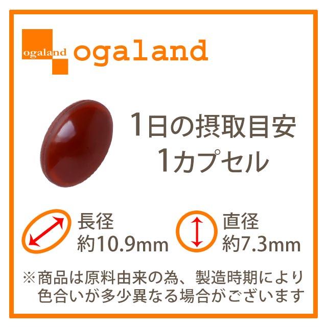 インナーUV （約6ヶ月分） サプリメント 紫外線 刺激から肌を保護するのを助ける サプリ 機能性表示食品 美容 ケア カロテン アウトドア 半年 ポイント利用 | ogaland | 12