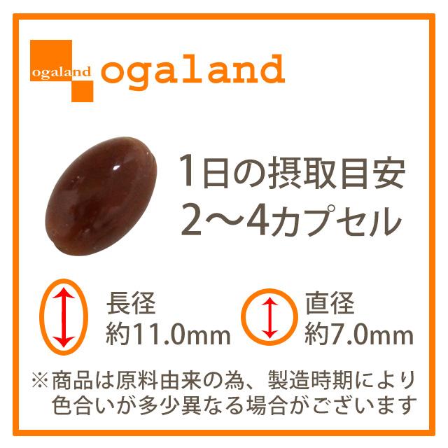 訳あり 高麗人参カプセル 約1ヶ月分 リニューアル前商品につき 数量限定 販売中 4年根使用 月見草油 クコの実エキス末 定番サプリ｜oga｜15