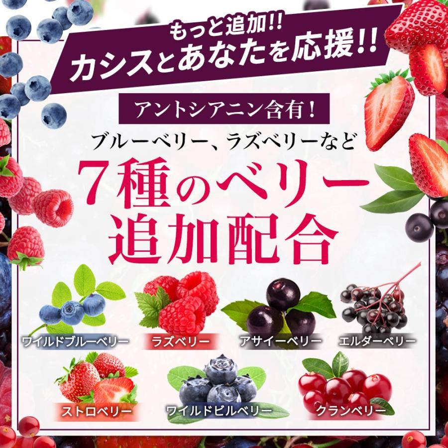 カシス （約1ヶ月分） サプリ アントシアニン ブルーベリー ポリフェノール クランベリー サプリメント カシスパウダー より手軽 美容 ポイント利用 | ogaland | 13