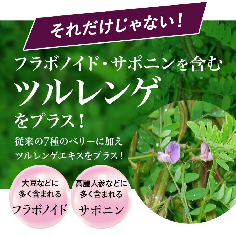 カシス （約1ヶ月分） サプリ アントシアニン ブルーベリー ポリフェノール クランベリー サプリメント カシスパウダー より手軽 美容 ポイント利用 | ogaland | 14