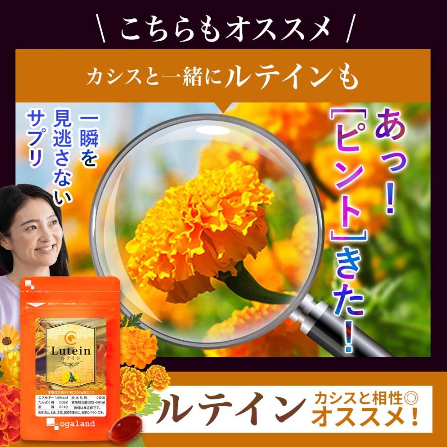 カシス （約1ヶ月分） サプリ アントシアニン ブルーベリー ポリフェノール クランベリー サプリメント カシスパウダー より手軽 美容 ポイント利用 | ogaland | 16