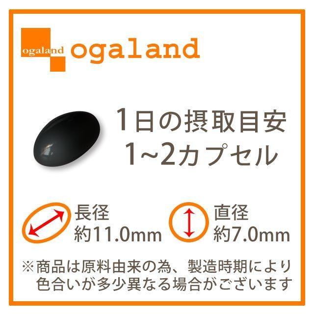 カシス （約1ヶ月分） サプリ アントシアニン ブルーベリー ポリフェノール クランベリー サプリメント カシスパウダー より手軽 美容 ポイント利用 | ogaland | 17