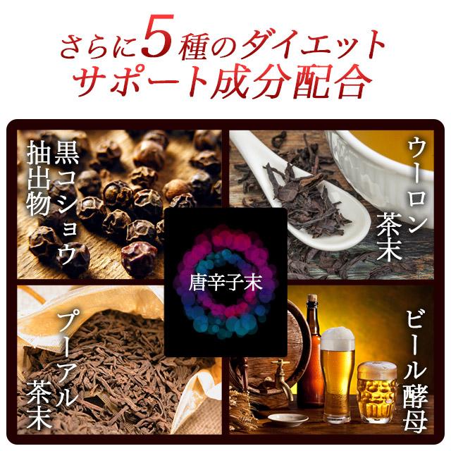 ogaland カプサイシン （約1ヶ月分） サプリメント サプリ ダイエット 
